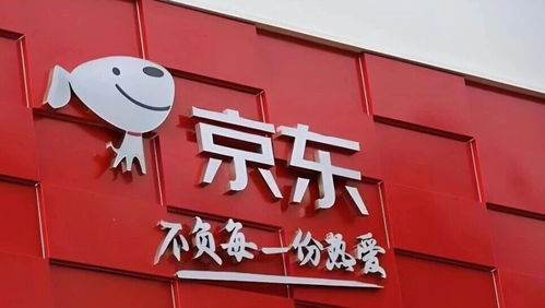 日用百貨撐起京東零售 利潤(rùn)下滑超50%背后，外賣業(yè)務(wù)仍需持續(xù)輸血